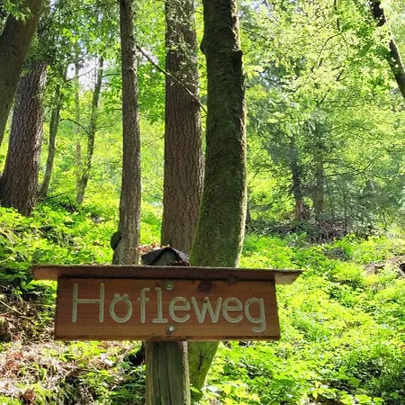 Apartmán Hoefleblick Oppenau
