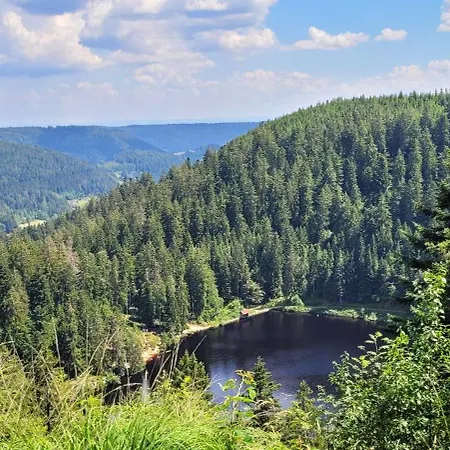 Hoefleblick Oppenau