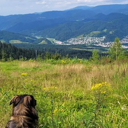 Hoefleblick * Oppenau